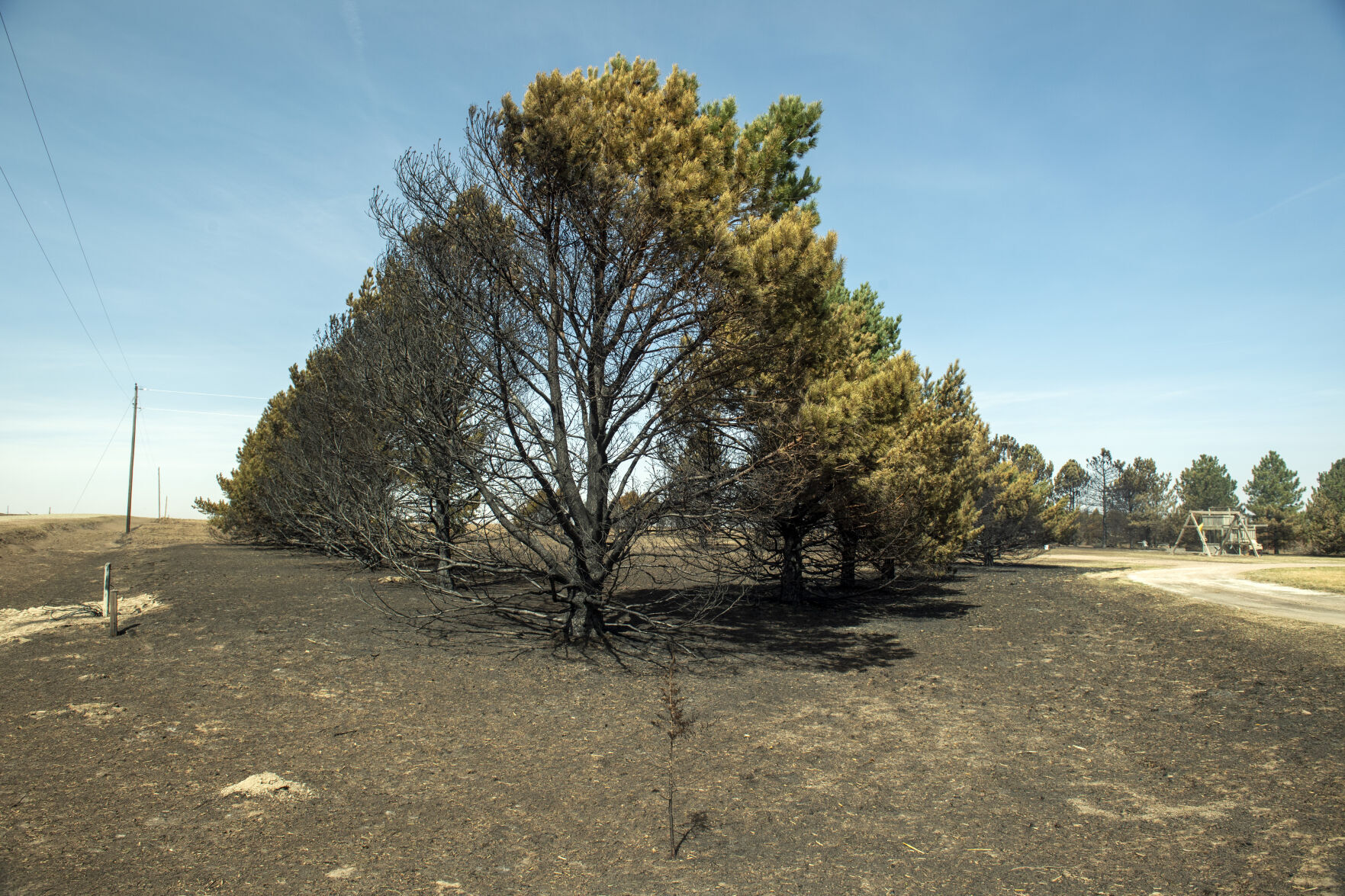 Wildfire, 4.12